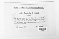 Septoria hyperici image